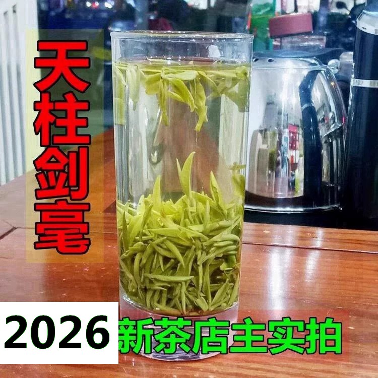 2025新茶天柱剑安徽潜山彭河明前