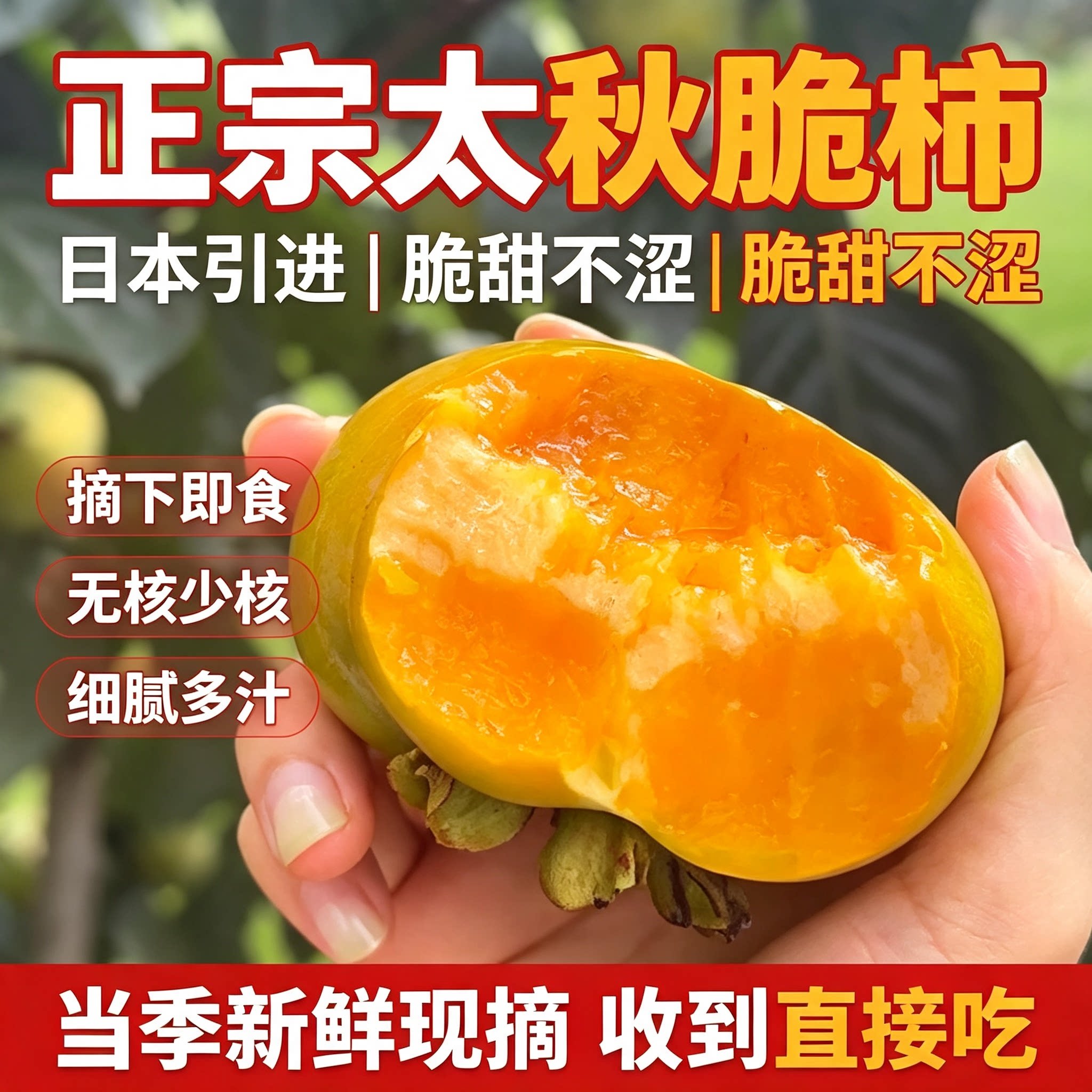 杭州塘栖太秋甜柿不酸不涩礼盒装