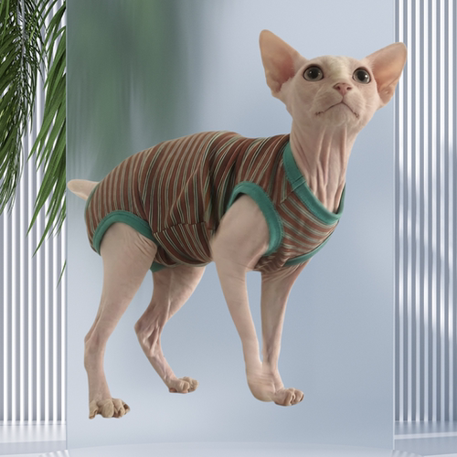 无毛猫衣服薄款夏季弹力四脚护肚吊带背心矮脚德文斯芬克斯猫衣服