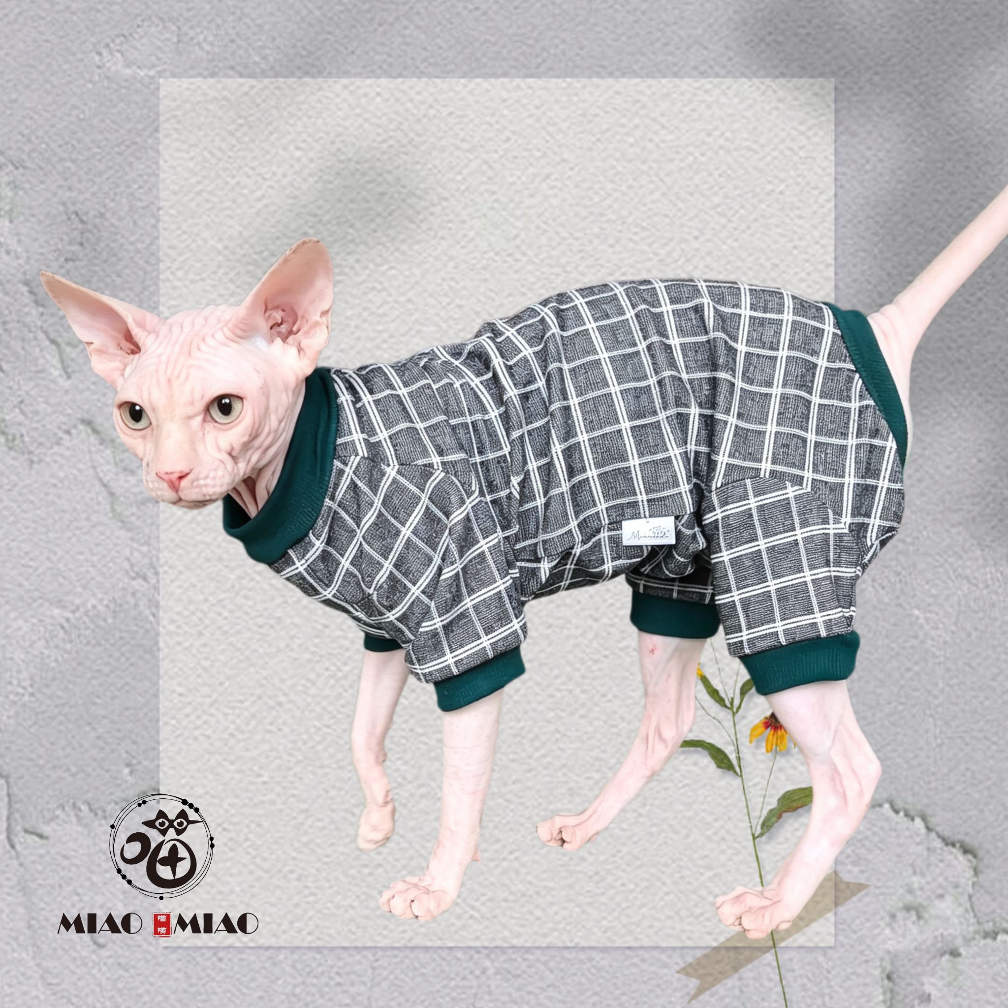 猫咪衣服无毛猫德文猫春秋款四脚猫宠物服装/雨衣（新