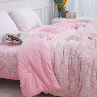 韩国被加绒云丝绒牛奶绒双面绒被子冬季 被加厚保暖床单雕花绒床盖
