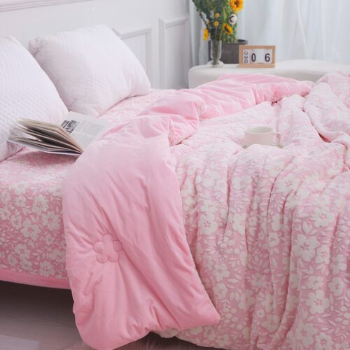 韩国外贸云丝绒保暖冬季被子床盖