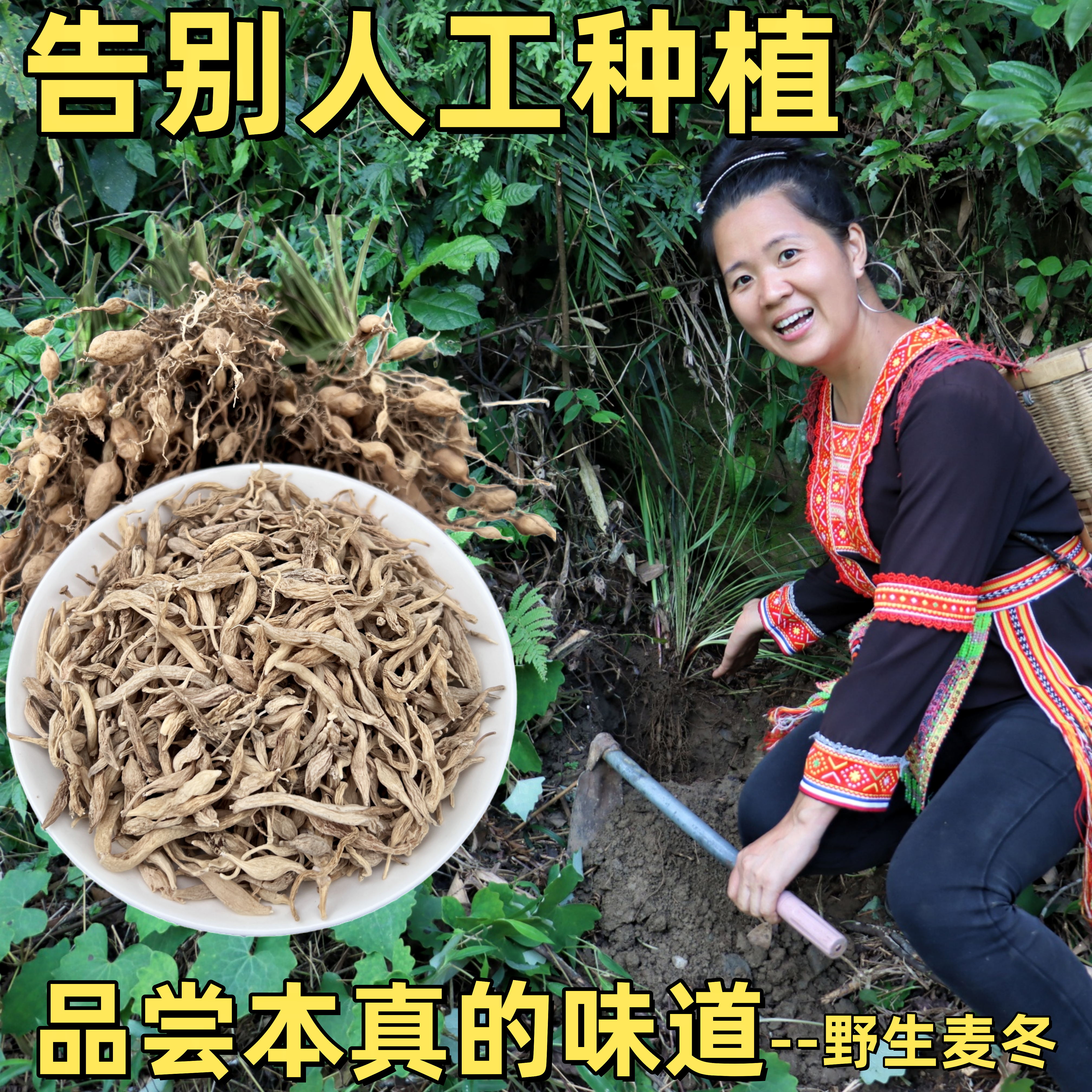 瑶山野生麦冬可搭玉竹百合黄精泡水煲汤煲茶250克无硫干货中药材