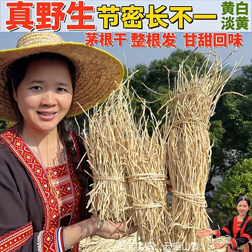 深山纯野生白茅根500g中药材新鲜干货毛根草根甜草根泡水煮水芦根