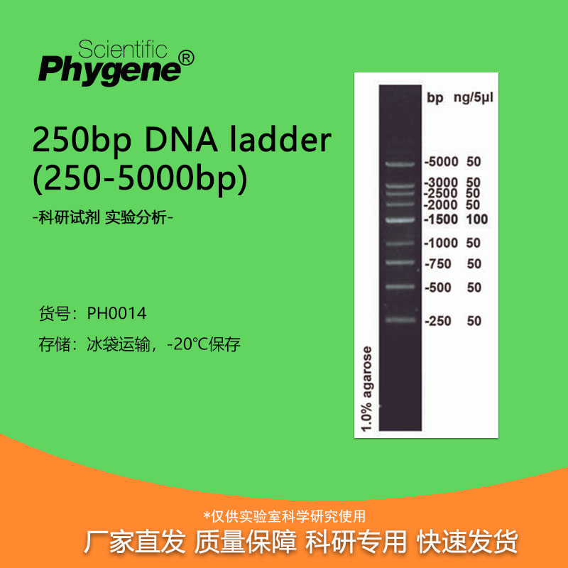 250bp DNA Marker ladder (250-5000bp) 100T [PH0014 PHYGNE] 工业油品/胶粘/化学/实验室用品 试剂 原图主图