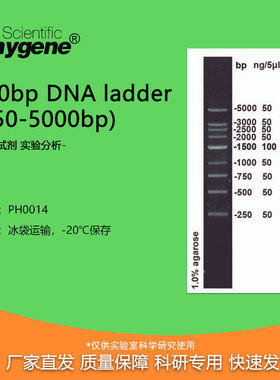 250bp DNA Marker ladder (250-5000bp) 100T [PH0014 PHYGNE]