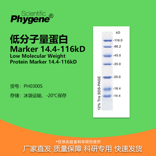 低分子量蛋白质Marker14.4-116kD