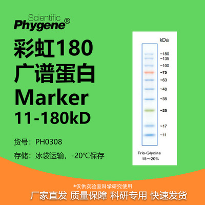 彩虹预染蛋白Marker11-180kD