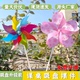 吸盘风车儿童手持户外拍照幼儿园小孩 玩具旋转舞台道具插地2025