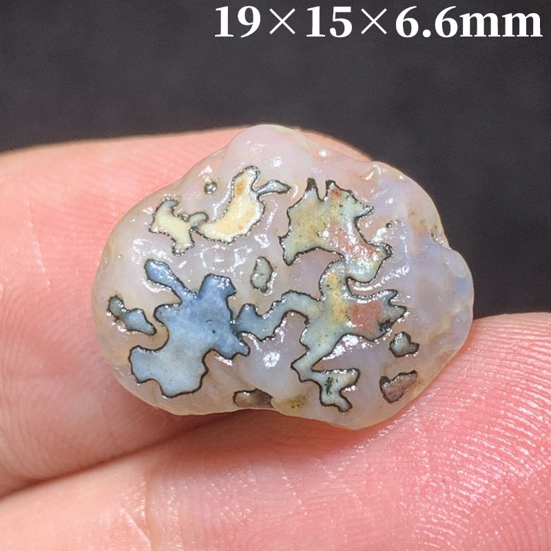 内蒙古阿拉善 银根草花玛瑙 戈壁眼睛石 奇石 天然 原石 吊坠地表