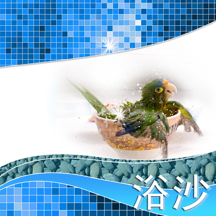 包邮鹦鹉洗澡沙用洗澡粉浴沙冬天洗澡减少羽粉细菌和异味鸟用品