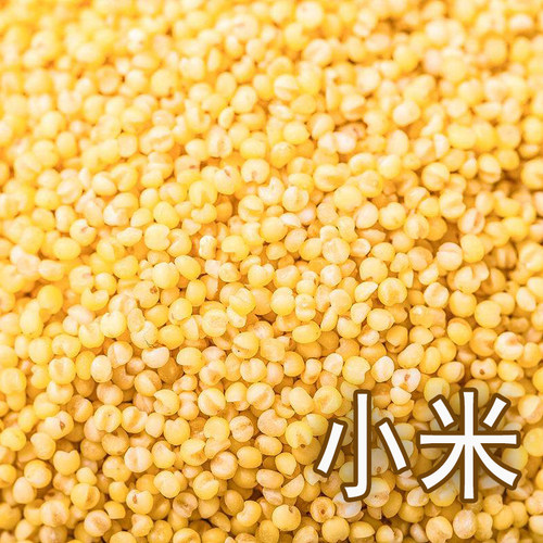 包邮 无壳谷子小米文鸟珍珠鸟虎皮鹦鹉鸟食鸟粮饲料黄小米450克 - 封面