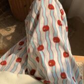 新品 家居可外穿 蓝条纹苹果a类纯棉双层纱布可爱卡通少女心睡裤