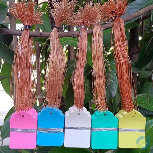 速发果树木植物吊牌牌绳肉艺标签带防水塑料标记牌多园吊签牌花卉