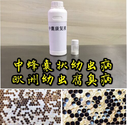 囊状幼虫腐臭封盖蜜蜂
