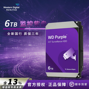 WD60EJRX 西部數據 WD64PURZ NAS監控紫盤硬盤 西數3.5寸6T臺式
