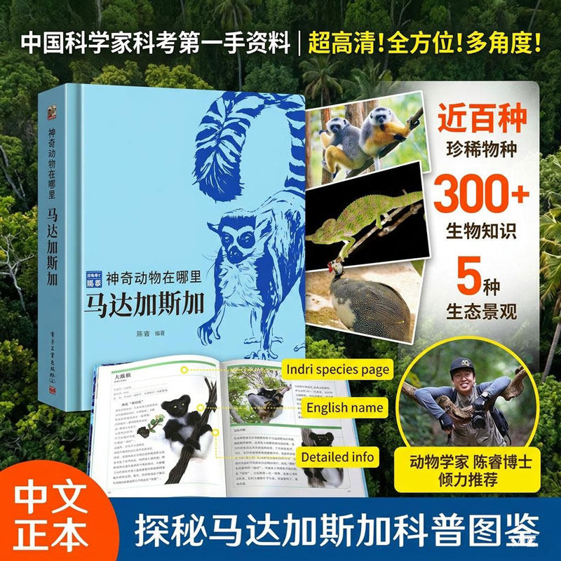 神奇动物在哪里马达加斯加动物博士陈睿儿童百科全书小学生课外阅读书籍昆虫绘本科考图鉴中国少年百科全书故事书礼物书