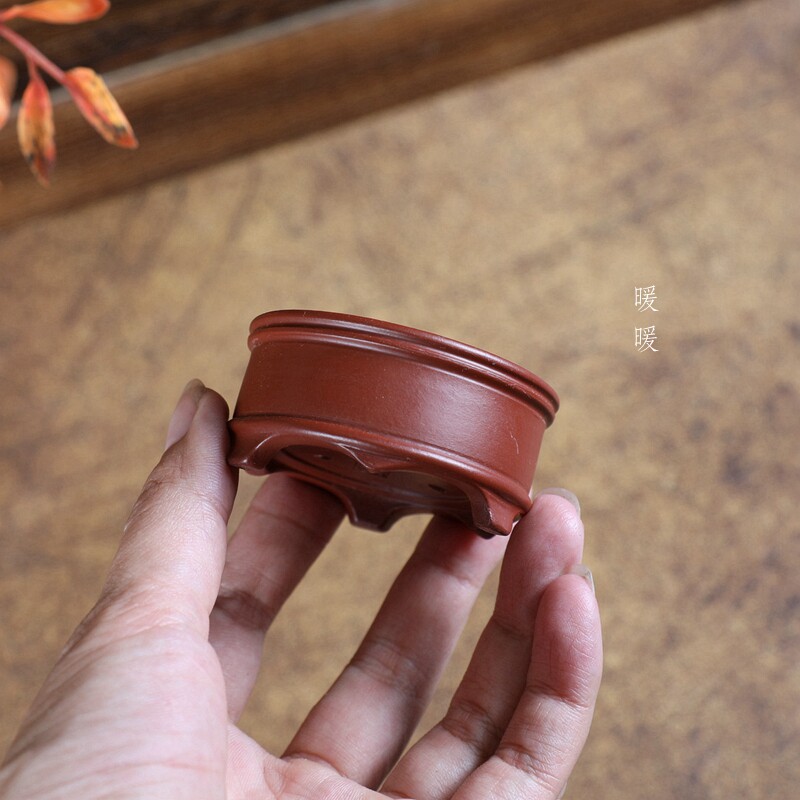 『花脚小双线』原矿大红袍手工微型绿植多肉花盆迷你盆掌中宝