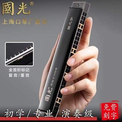 正品国之梦复音c调高级演奏口琴