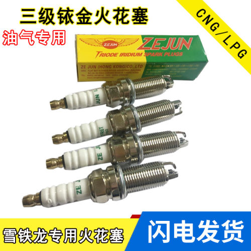 火花塞油气两用爱丽舍风神汽车