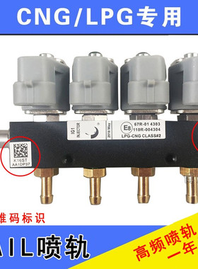 CNG汽车天然气喷轨燃气改装喷轨油改气喷轨气车用LPG液化气喷气嘴