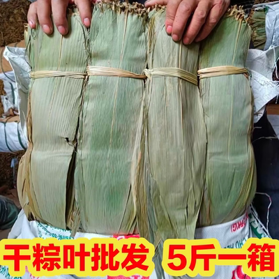 野生烘干粽叶5斤包邮大号粽叶麻竹叶新鲜商用粑粑叶发糕原料粽叶