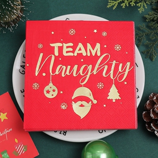 Team Naughty圣诞餐巾纸 红金配色恶搞文字 圣诞节派对西餐装饰纸