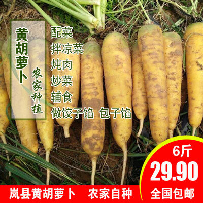 新鲜岚县特产无化肥手抓饭胡萝卜