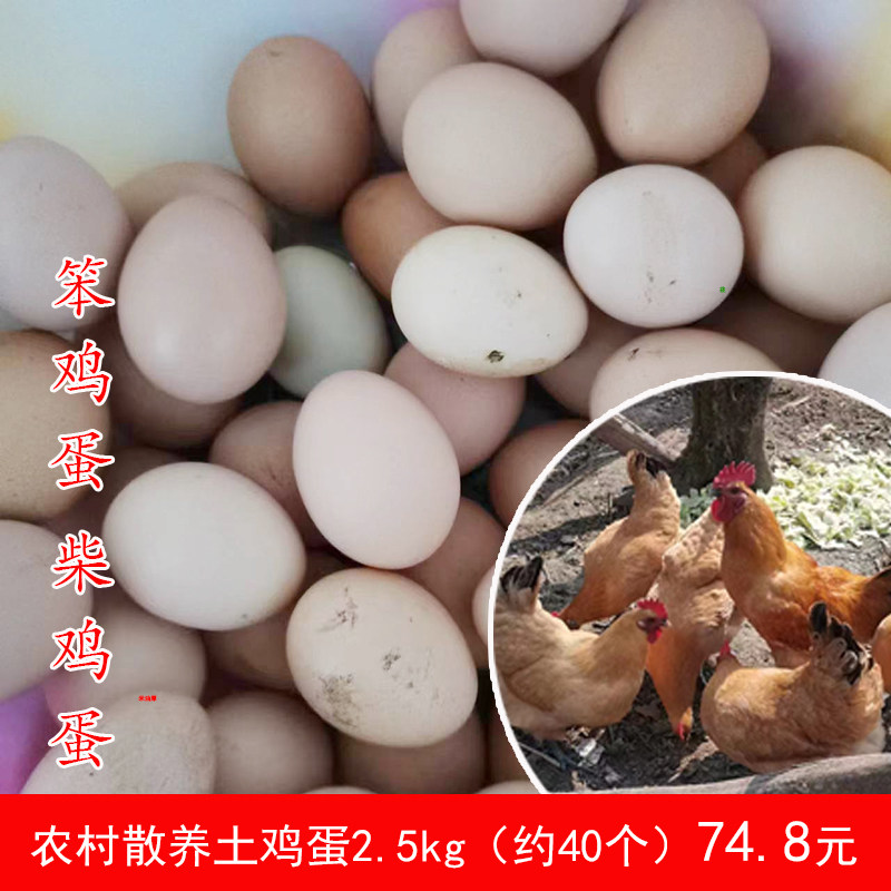 土鸡蛋新鲜鸡蛋散养农家草鸡
