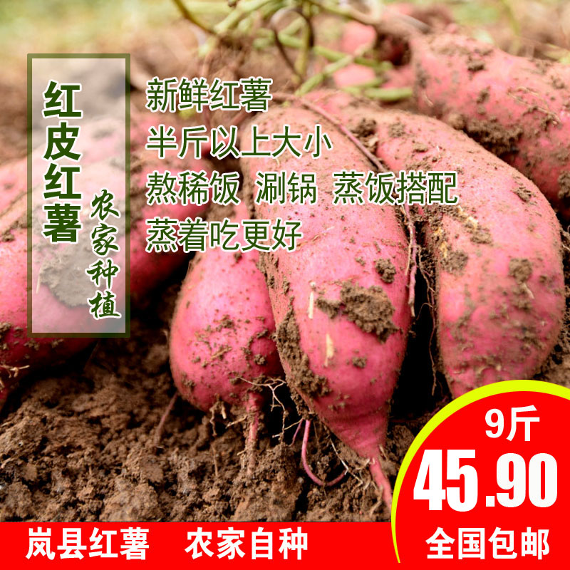 新鲜香甜农家自种沙地9斤蜜薯