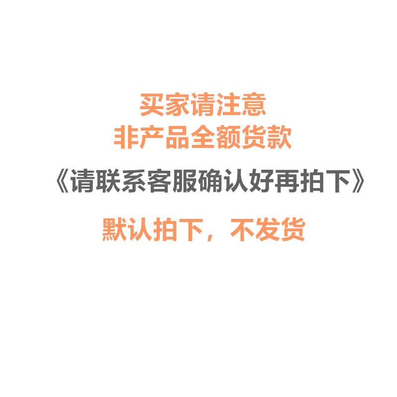 新品核辐射检测仪RG1100个人剂量报警仪放射性Xγ测量仪器计