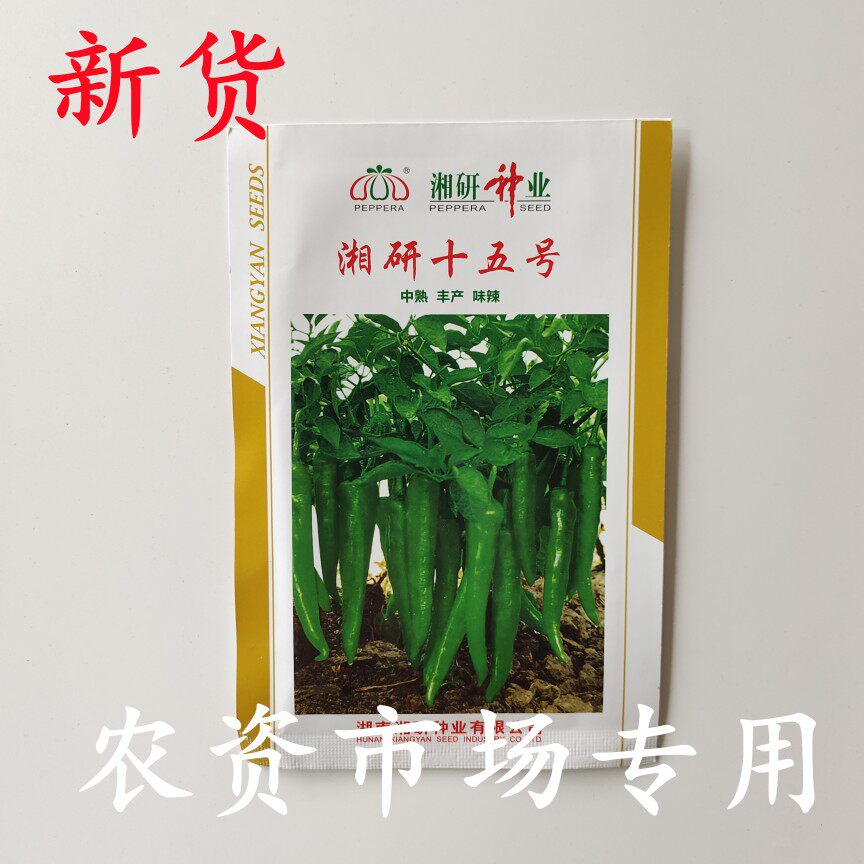 湘研十五号中熟 味辣抗病高产 长牛角型辣椒种子 耐贮运1000粒