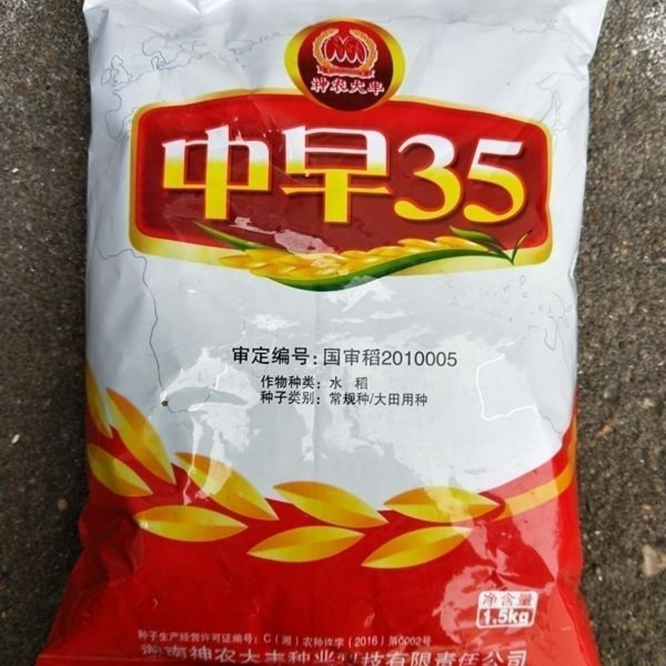 【早稻常规水稻谷种】国审大田用种 中早35水稻种子 高产抗倒