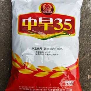 【早稻常规水稻谷种】国审大田用种 中早35水稻种子 高产抗倒