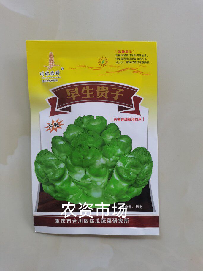 四川儿菜种子早熟早胖娃抱子家乐福儿菜芥菜种子 长势强口感嫩脆