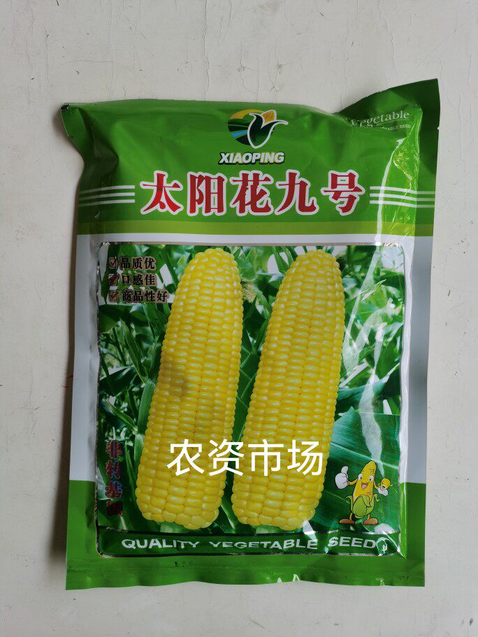 基地专用太阳花9号泰系黄甜玉米种子高产大棒鲜食玉米口感好400克