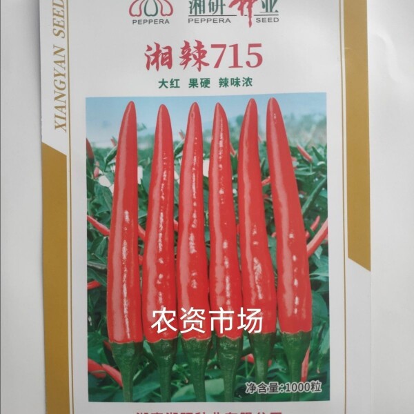 湘研湘辣715辣椒种子 大红辛辣高产抗病 长尖辣椒籽朝天椒品种