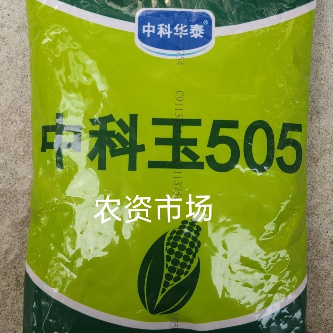 北京联创 中科玉505 饲料玉米种子 高产 棒大 马齿 红轴 4200粒