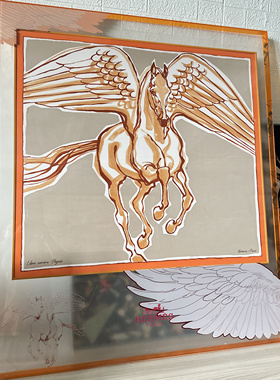 亚克力丝巾装饰画高清透明印花玄关客厅餐厅卧室轻奢简约创意挂画