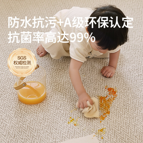 梓晨防水防污地毯客厅无胶免洗可擦简约轻奢高级感防猫抓卧室地垫