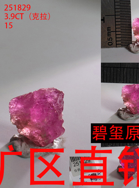 天然碧玺原石矿标摆件原矿 -251829