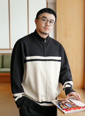 韦恩泽维尔大码轻奢高级感毛衣男宽松慵懒立领拉链针织开衫8870