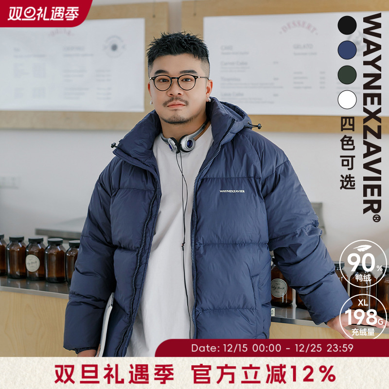 韦恩泽维尔立领休闲常规羽绒服