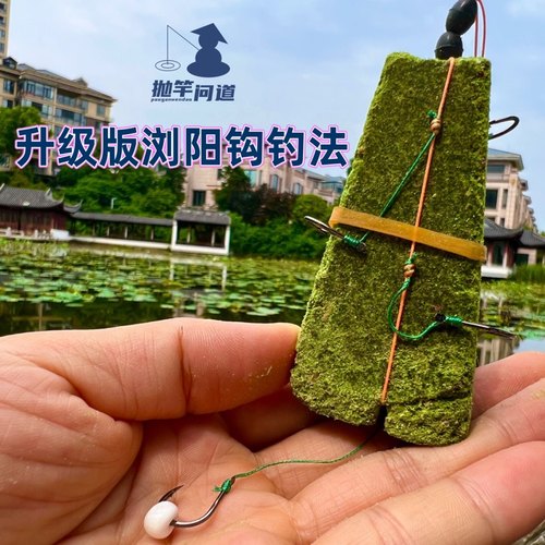 抛竿问道升级版浏阳钩钓法5钩带泡沫球海竿飞毛腿果香浏阳坨糠饼