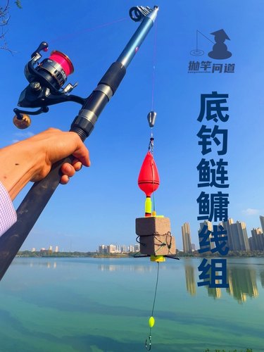 抛竿问道离底钓鲢鳙钓组线组配件套装冬季反底低温钓花白鲢菜粕饼