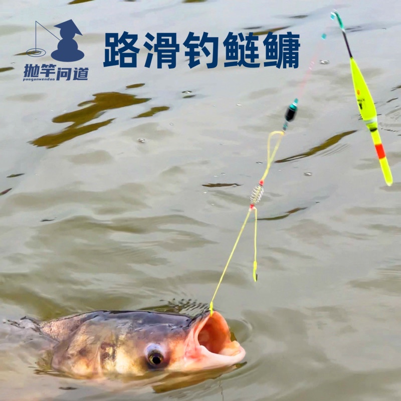 抛竿问道路滑钓鲢鳙的钓组线组配件套装鲢鳙浮漂鲢鳙饵弹簧双钩