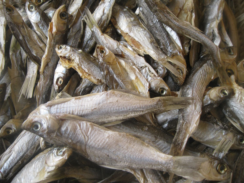 农家自制风干鱼洪湖野生小刁子咸鱼干货新鲜淡水1斤包邮|msdalam kategori daging perikanan/Buah-buahan segar dan sayur-sayuran/dimasak, makanan laut/produk akuatik/produk, produk ikan, ikan kering - dari Buy2taobao.com untuk memberikan perkhidmatan ejen Taobao profesional membeli