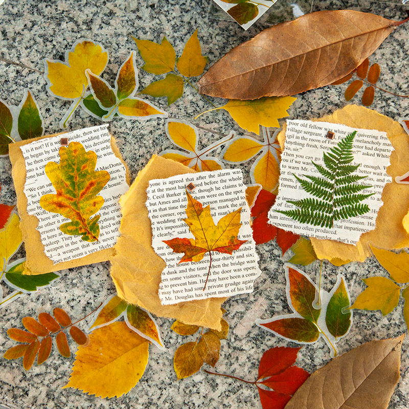 PET+硫酸纸仿真树叶贴纸30张