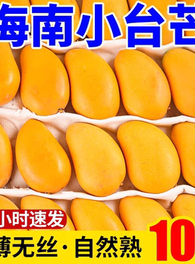 海南芒果新鲜现摘小台农芒果当季孕妇新鲜水果超甜薄皮小台芒批发