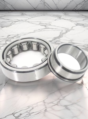 ZOKOL【轴承】NJ202 203 204 205 206 207 208 209 210 211 212EM